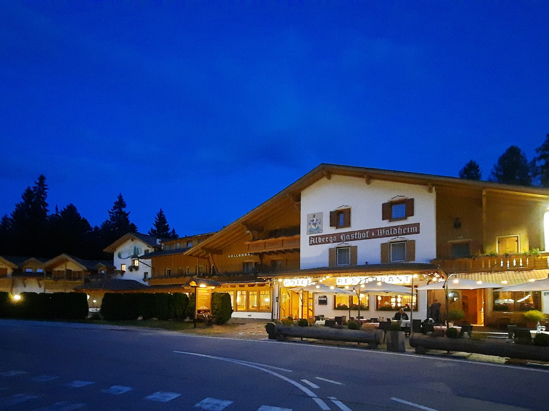 Hotel Waldheim Wellness & Restaurant主图