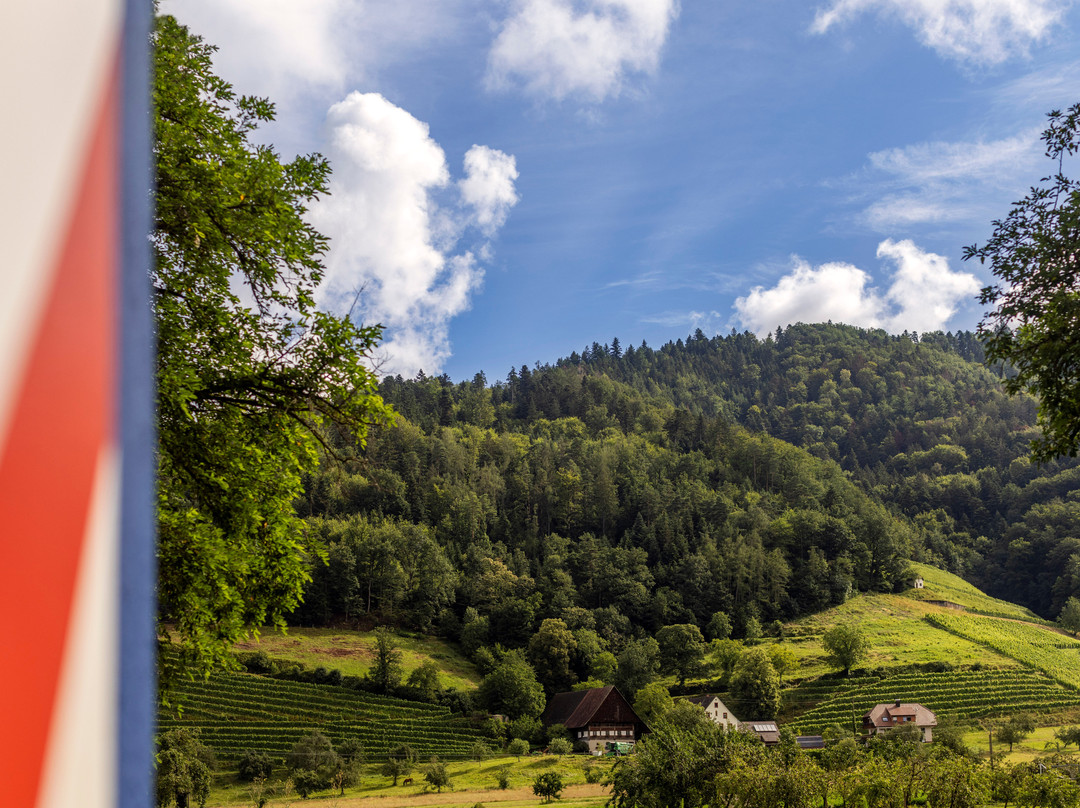 Schlossmühle Glottertal主图