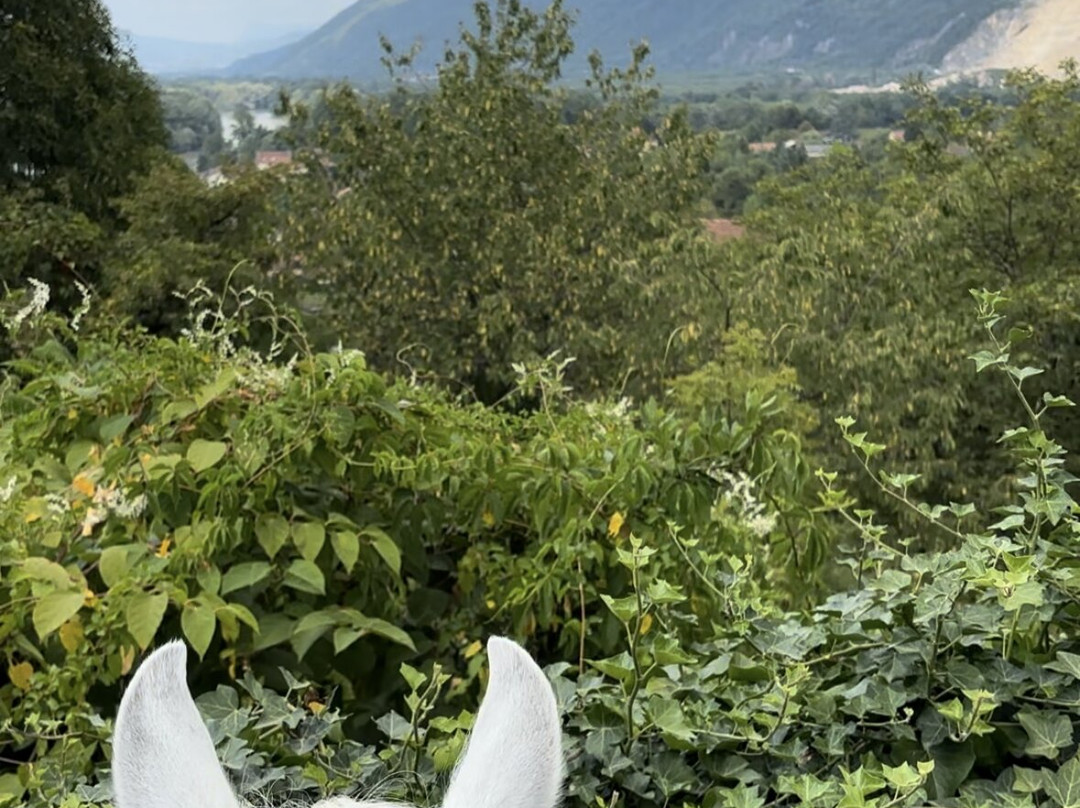Diego, Balades et Randonnées à Cheval景点图片