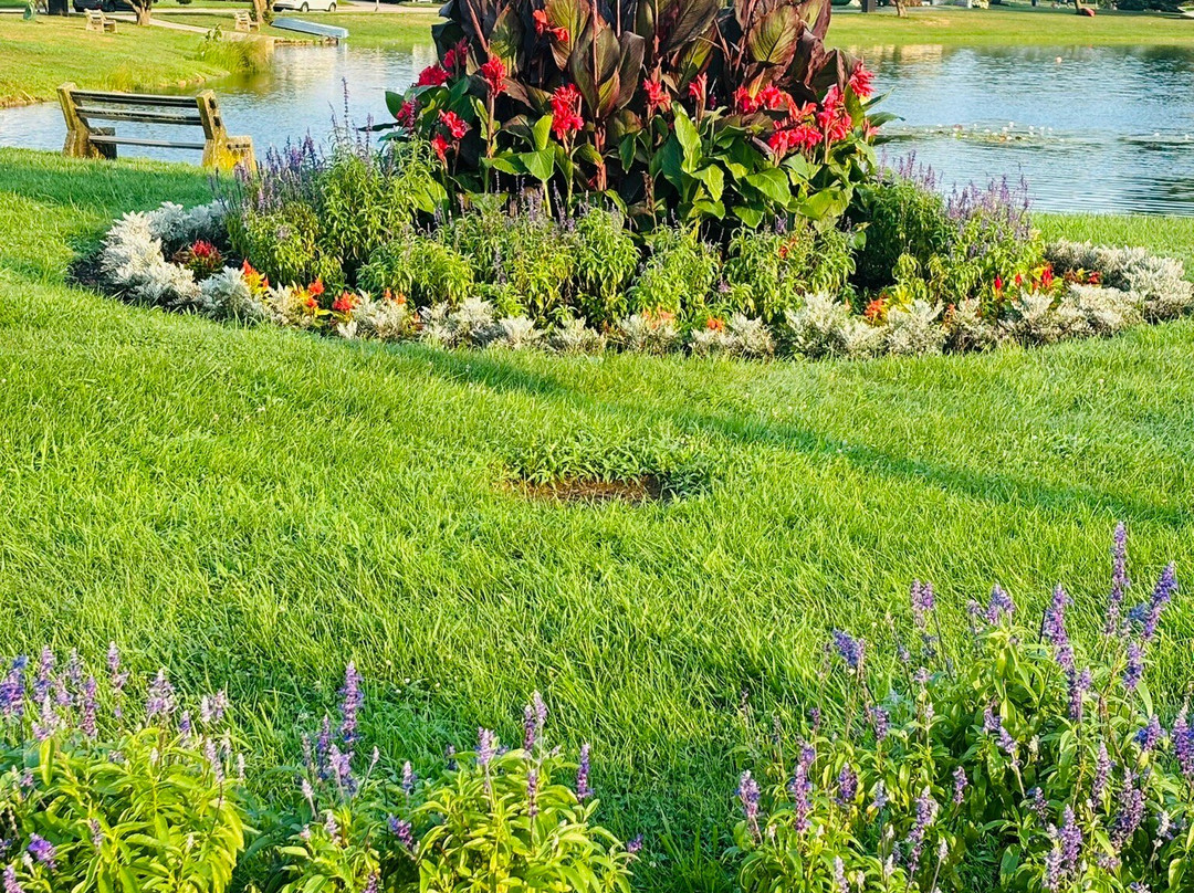 Spring Lake Boardwalk景点图片