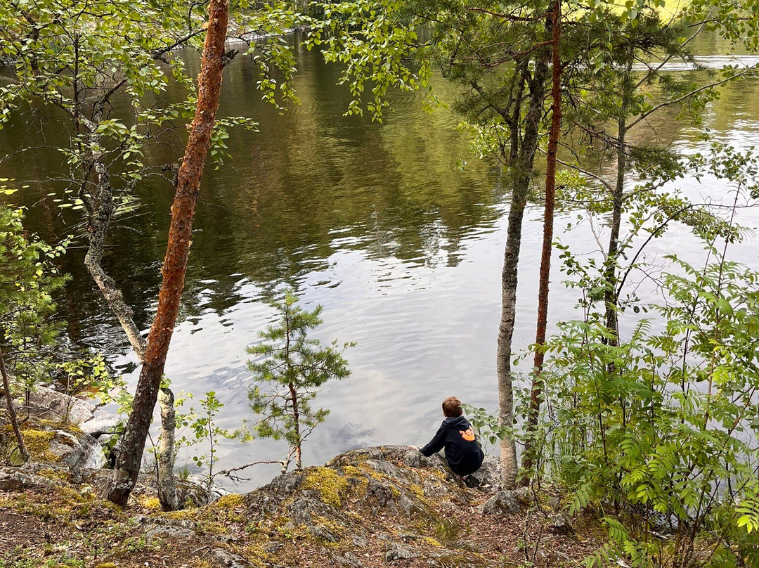 Linnansaari National Park景点图片
