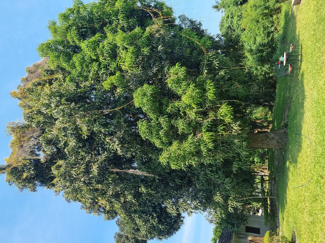 The Manor House by Sansi主图