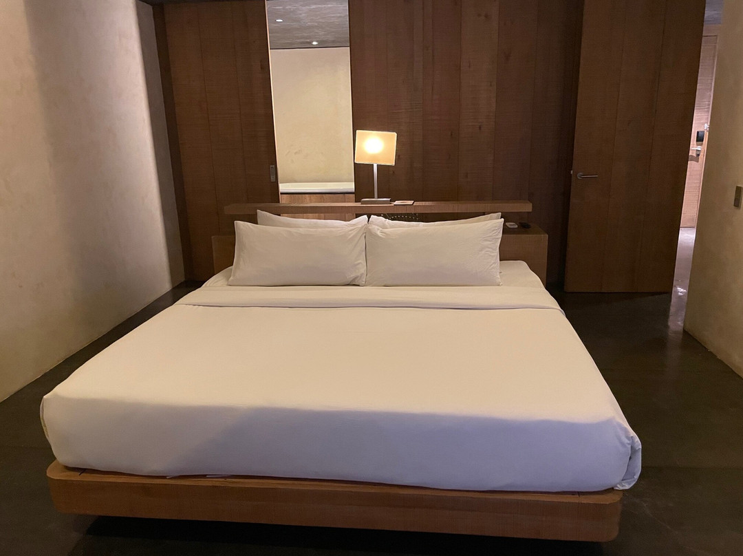 阿莫里塔度假村主图