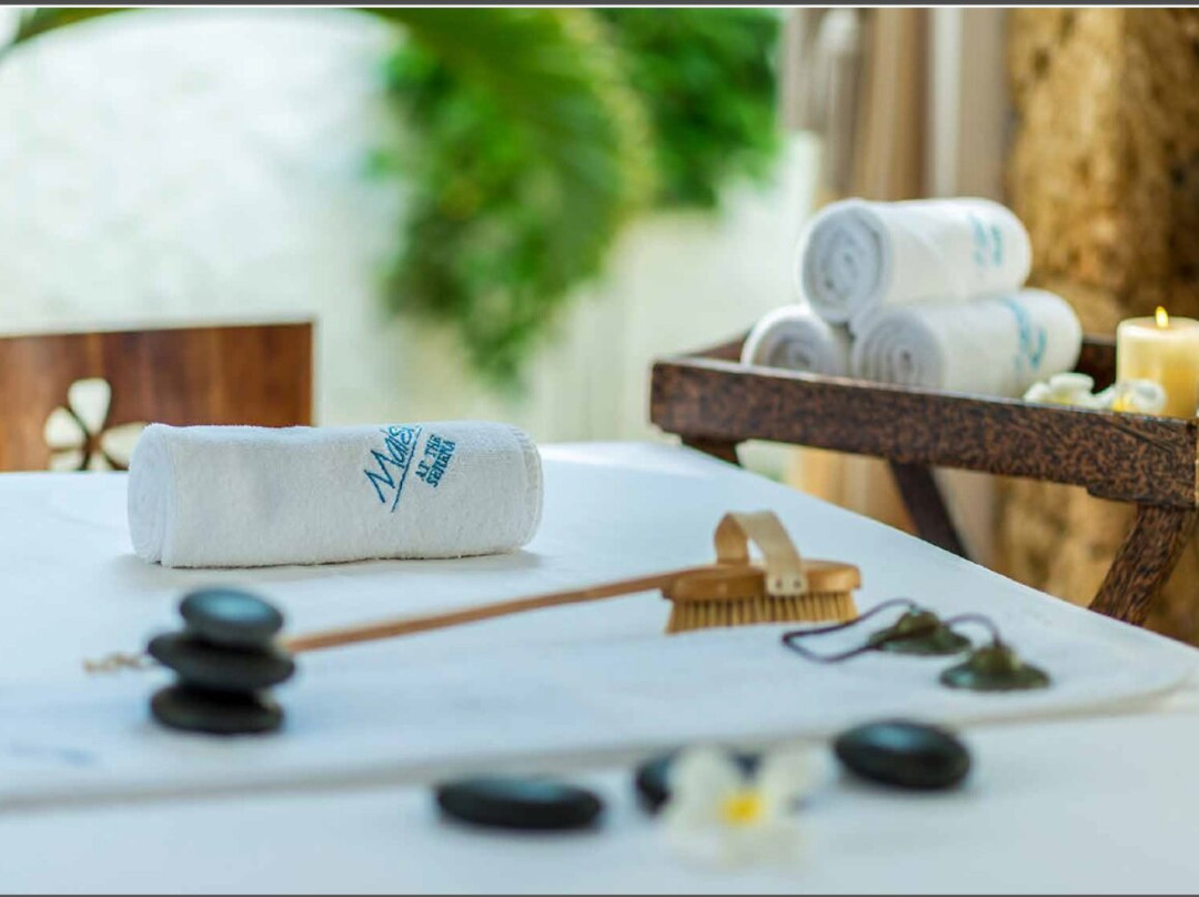 塞丽娜海滩水疗度假村主图