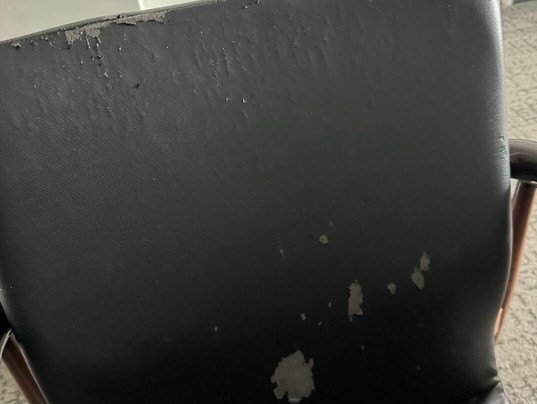 Le Méridien Atlanta Perimeter主图