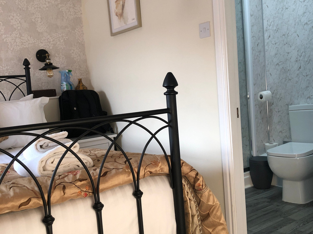 The Green Dragon主图