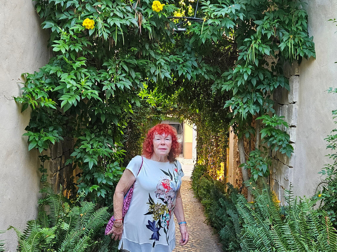 Alvor Kitecenter Guesthouse主图