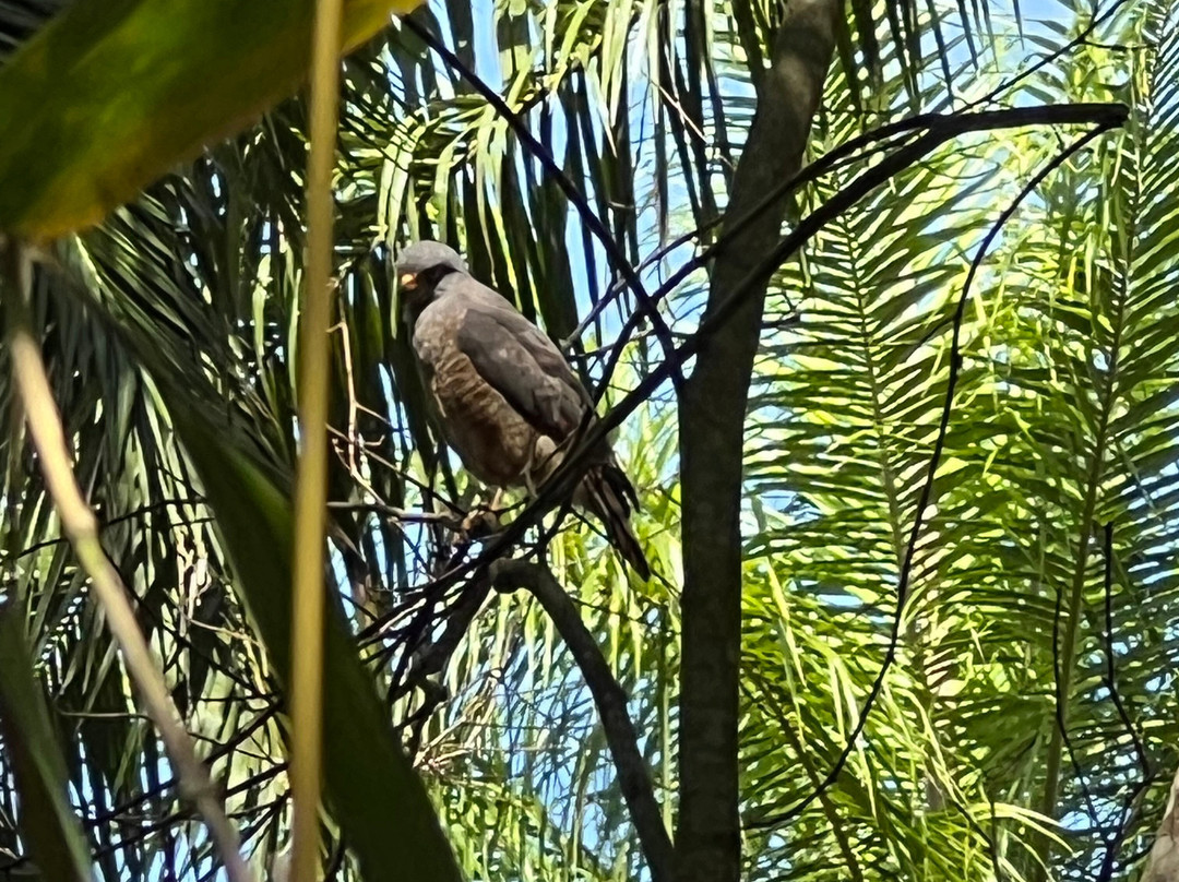 Nacarcosta Wildlife Adventure景点图片