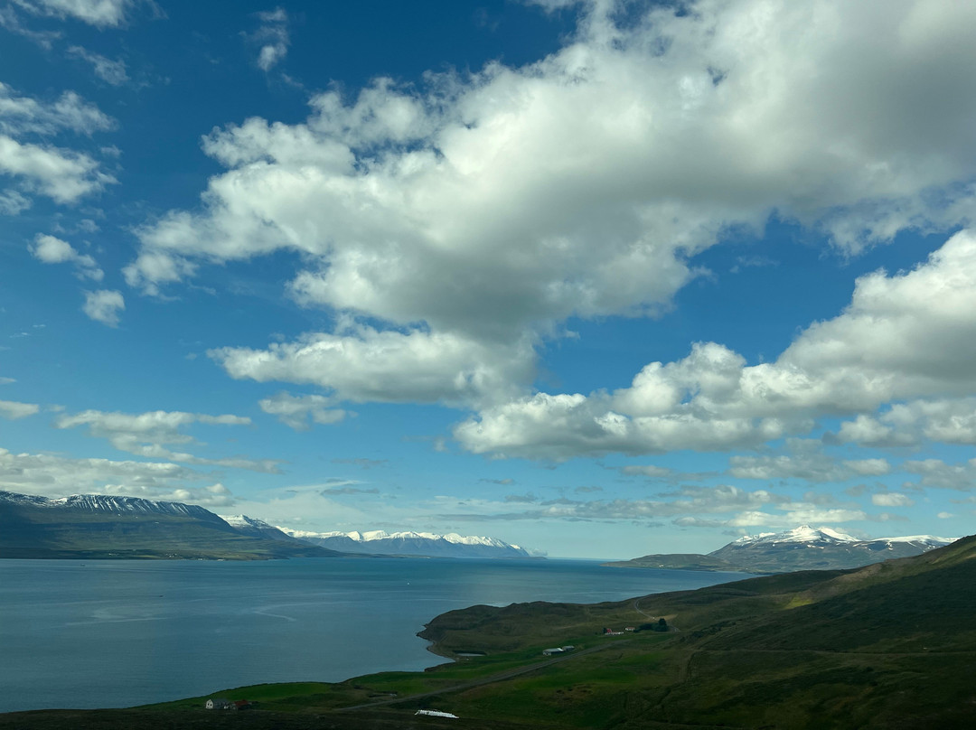 Strytan Divecenter-阿克雷里必去景点