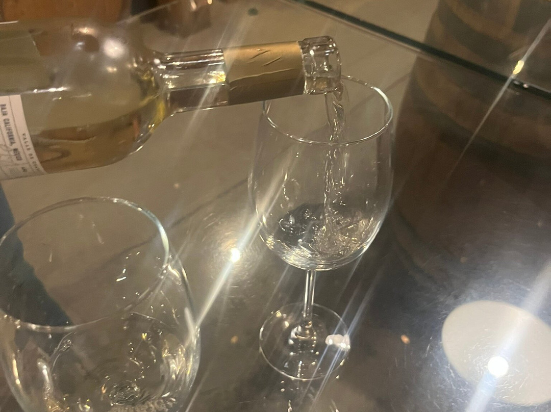 Vena Cava-Valle de Guadalupe必去景点