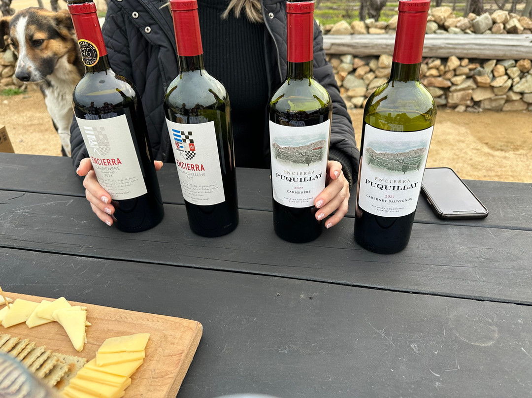 VLC-Organic Wines (Viña Los Chanchitos)-Peralillo必去景点
