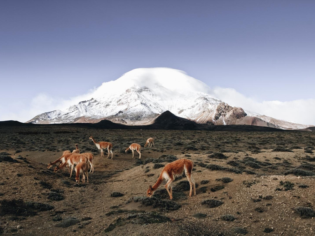 Epr Travel-基多必去景点