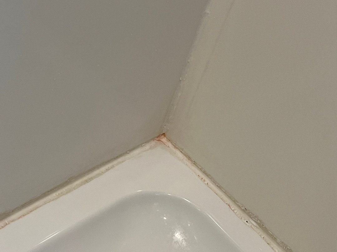 Comfort Inn & Suites主图