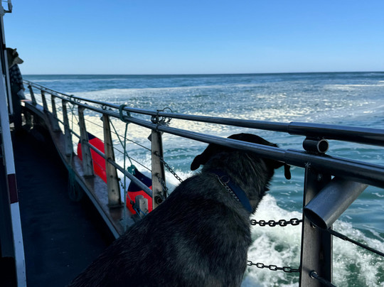 Tradewinds Charters-Depoe Bay必去景点