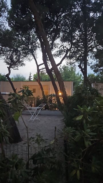 皮内塔马雷村庄营地酒店-客卧