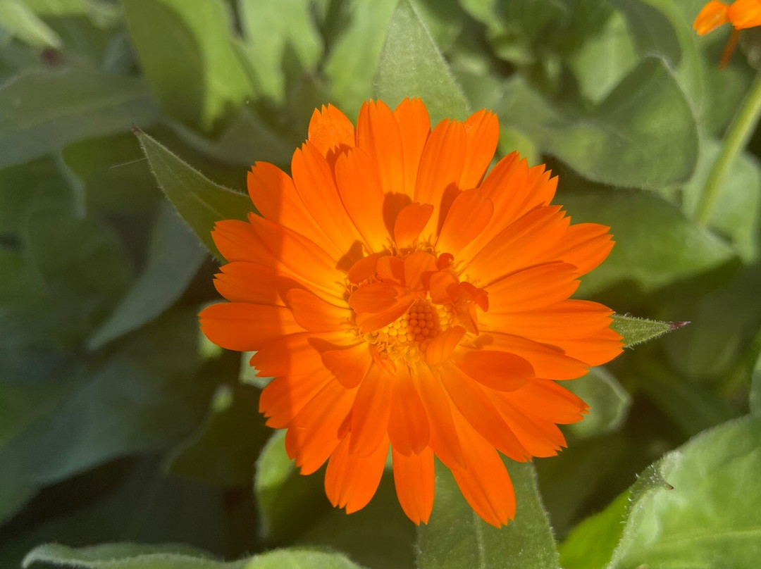 Holy Trinity Anglican Church-Yarram必去景点