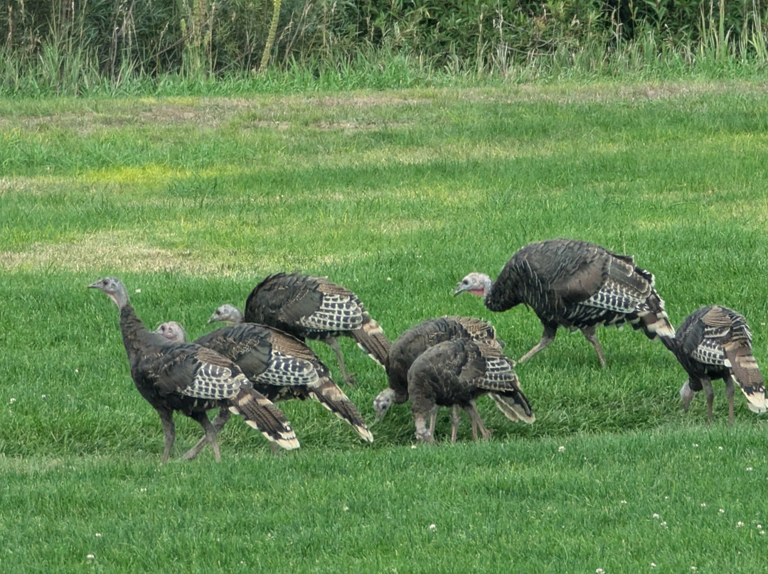 The Hideout Golf Club-Monticello必去景点