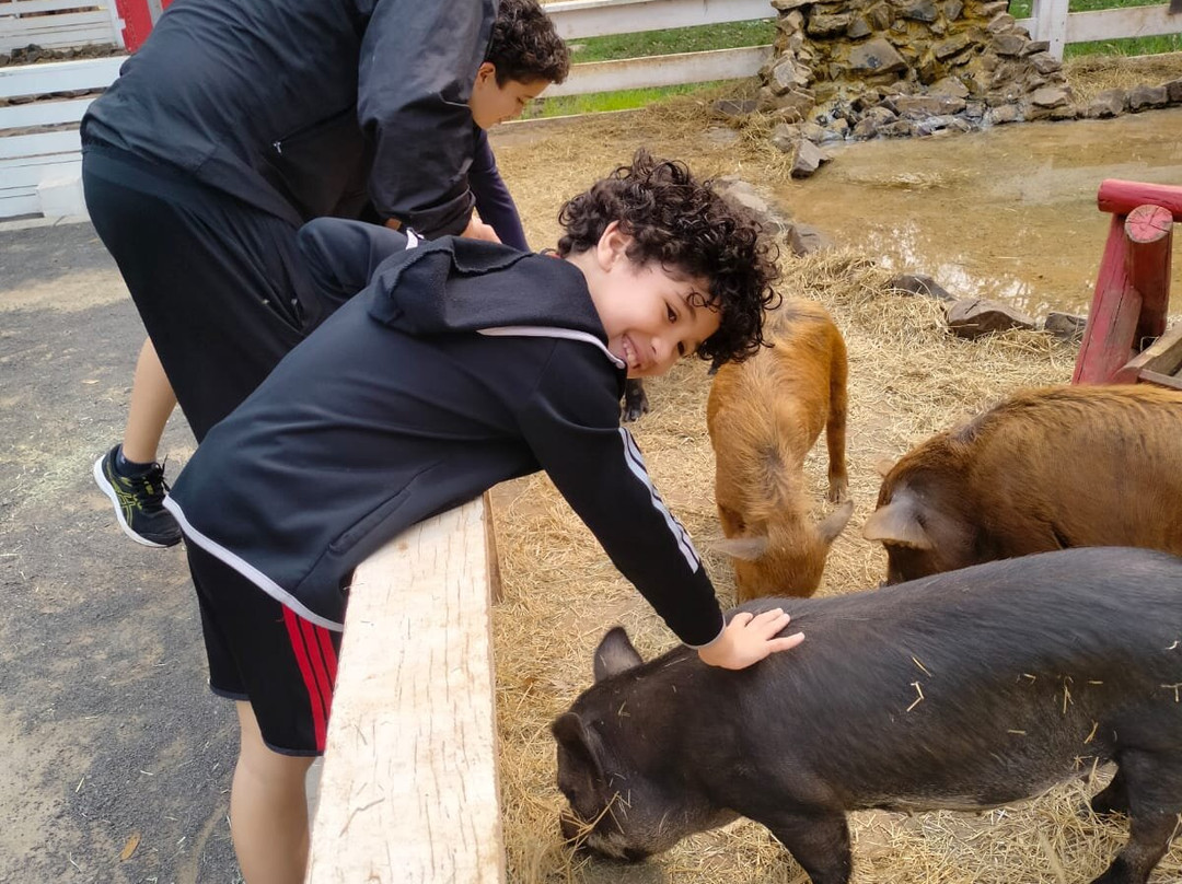 Foz Eco Park Zoo-伊瓜苏必去景点