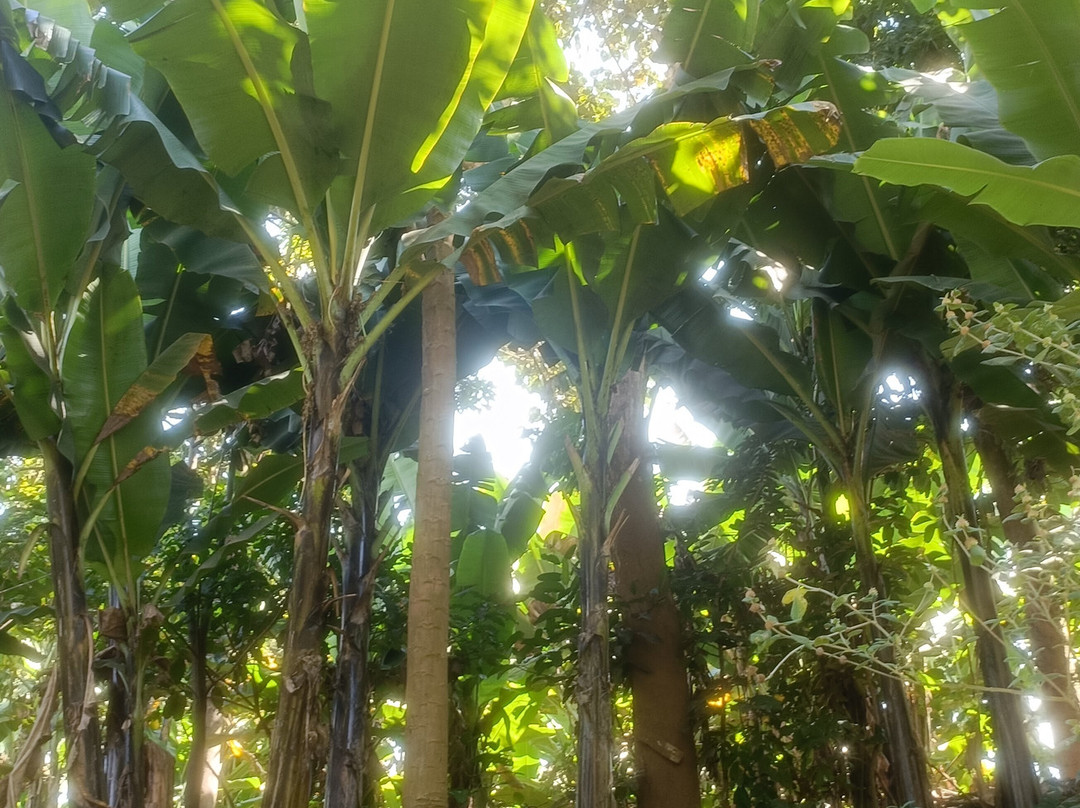 Moivaro Cultural Tourism Programme-阿鲁沙必去景点