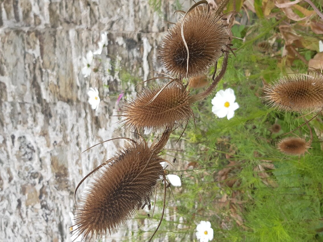 Penrose-赫尔斯顿必去景点