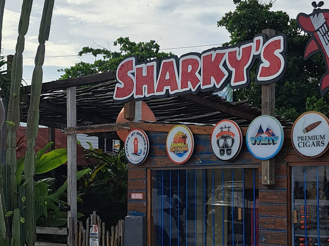 Puerto Bayahibe-Bayahibe必去景点