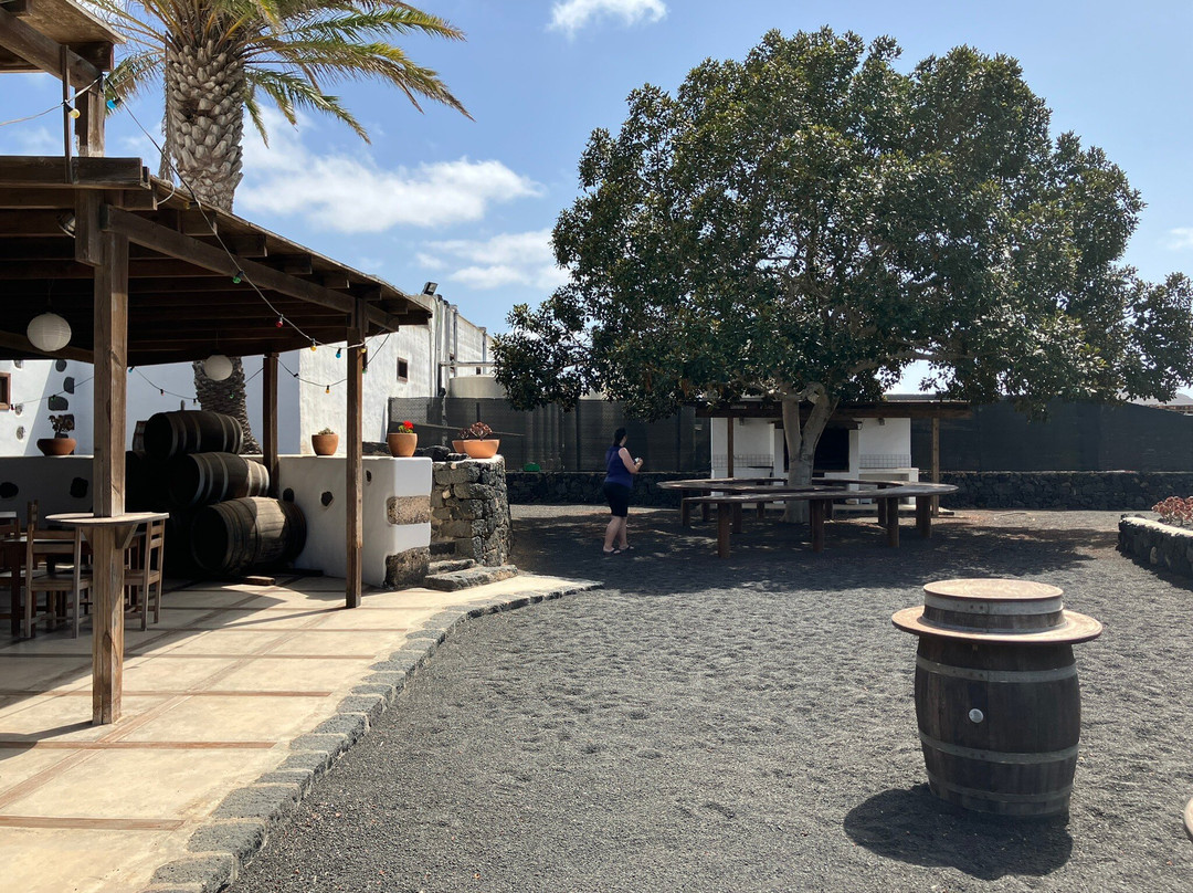 Bodegas Los Bermejos-San Bartolome必去景点