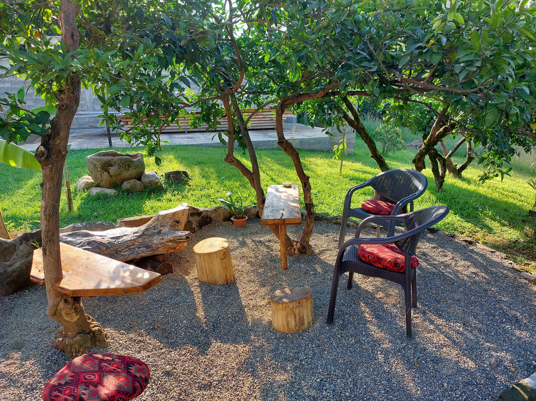 TABA - Tea House & Tea Garden-Ozurgeti必去景点