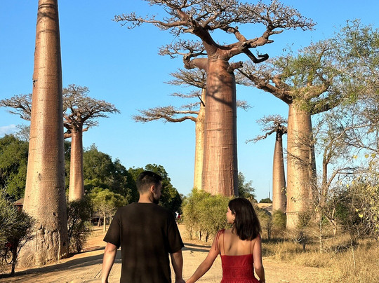 Etiland Tour Madagascar-安塔那那利佛必去景点