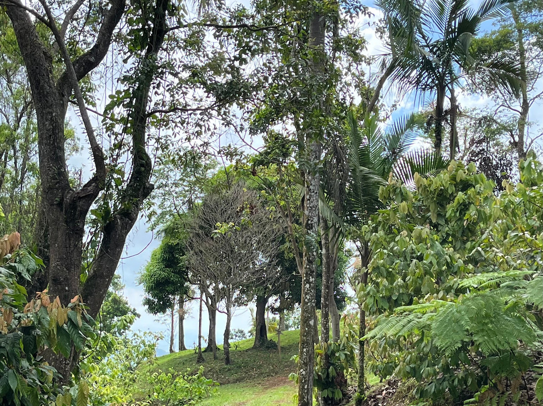 Hacienda Chocolat-法哈多必去景点