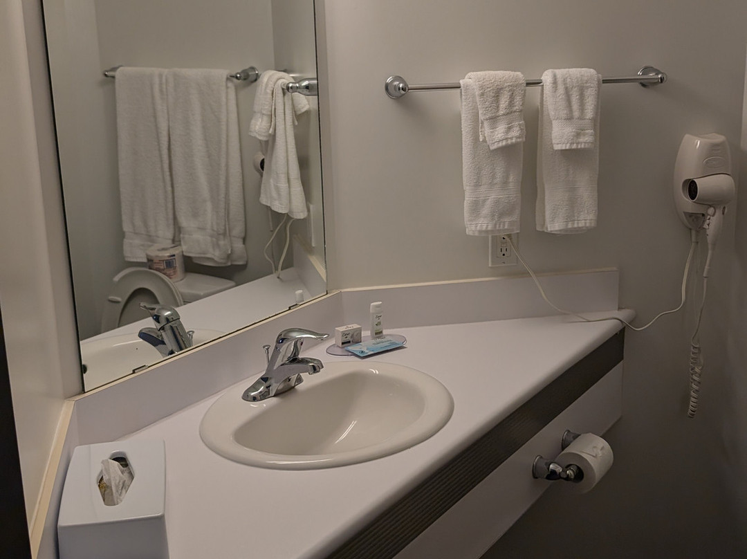 Days Inn By Wyndham Stony Plain主图