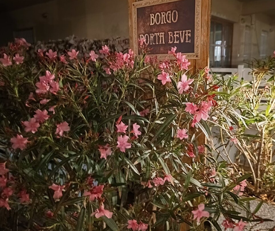Giuliano È Primo