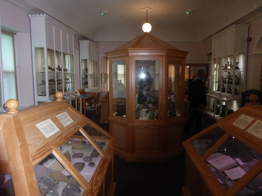 Stromness Museum景点图片