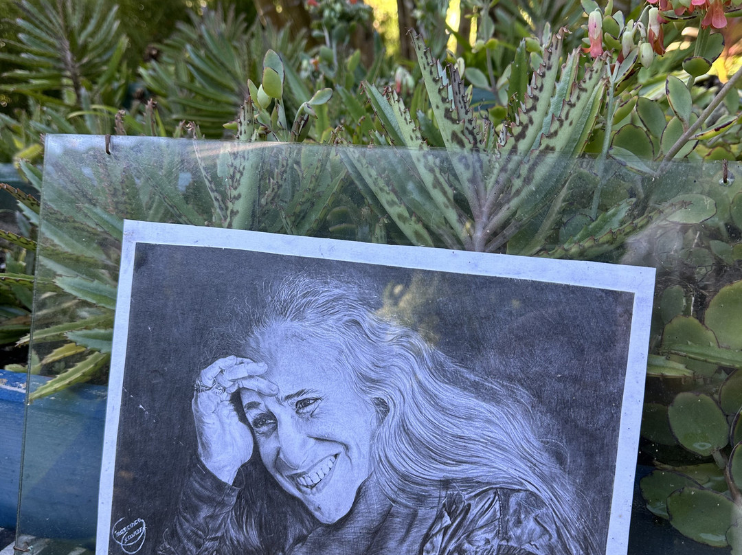 Pousada Horizonte Azul Boipeba主图