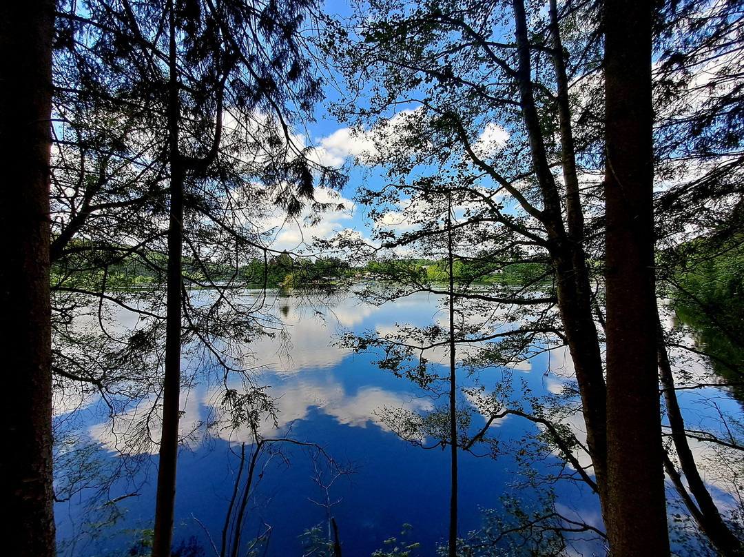 Lac de Robertville景点图片