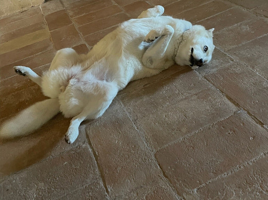 Agriturismo Marcofrate主图