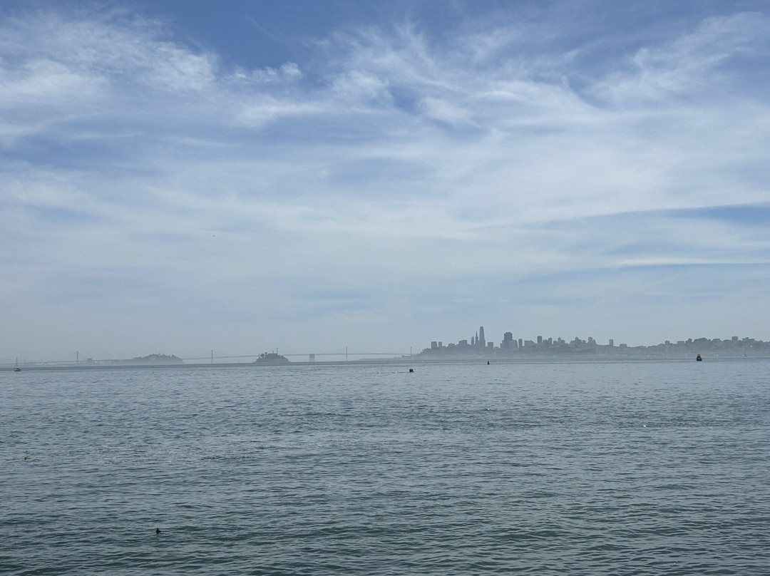 Yee Tock Chee Park景点图片