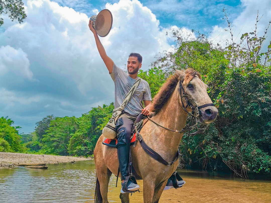 Cabalgatas En Palomino La Mello-帕洛米诺必去景点