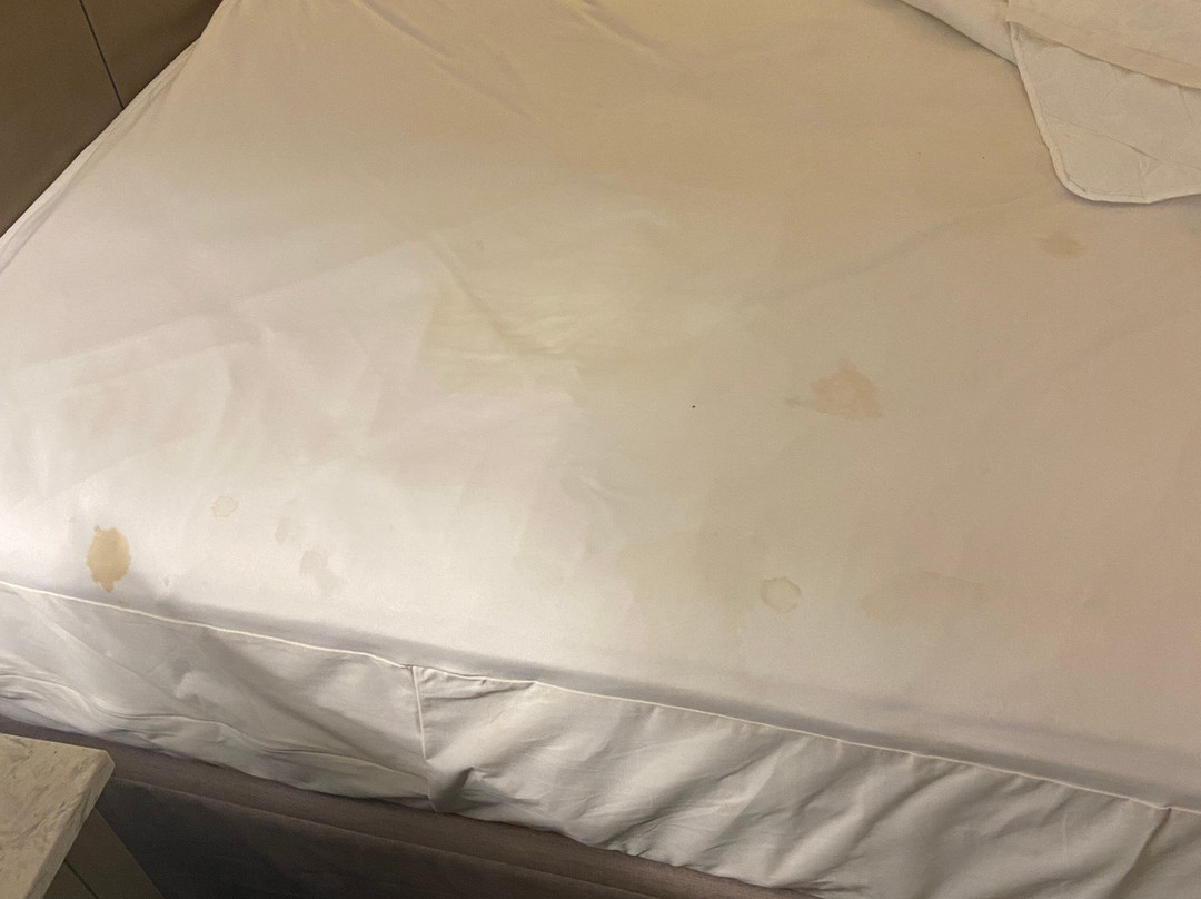 Monte Carlo Inn - Brampton Suites主图