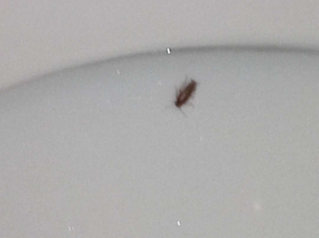 Holiday Inn Express & Suites Lucedale By IHG主图