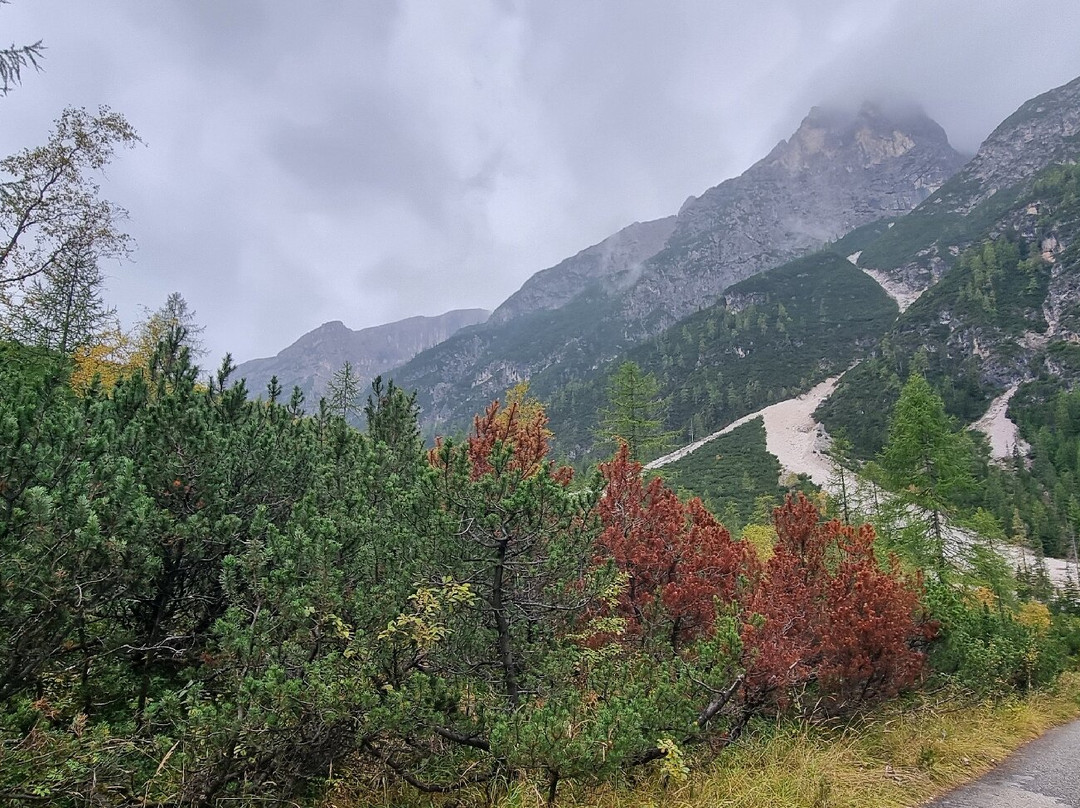 Escursione a Val Campo di Dentro - Rifugio Tre Scarperi景点图片