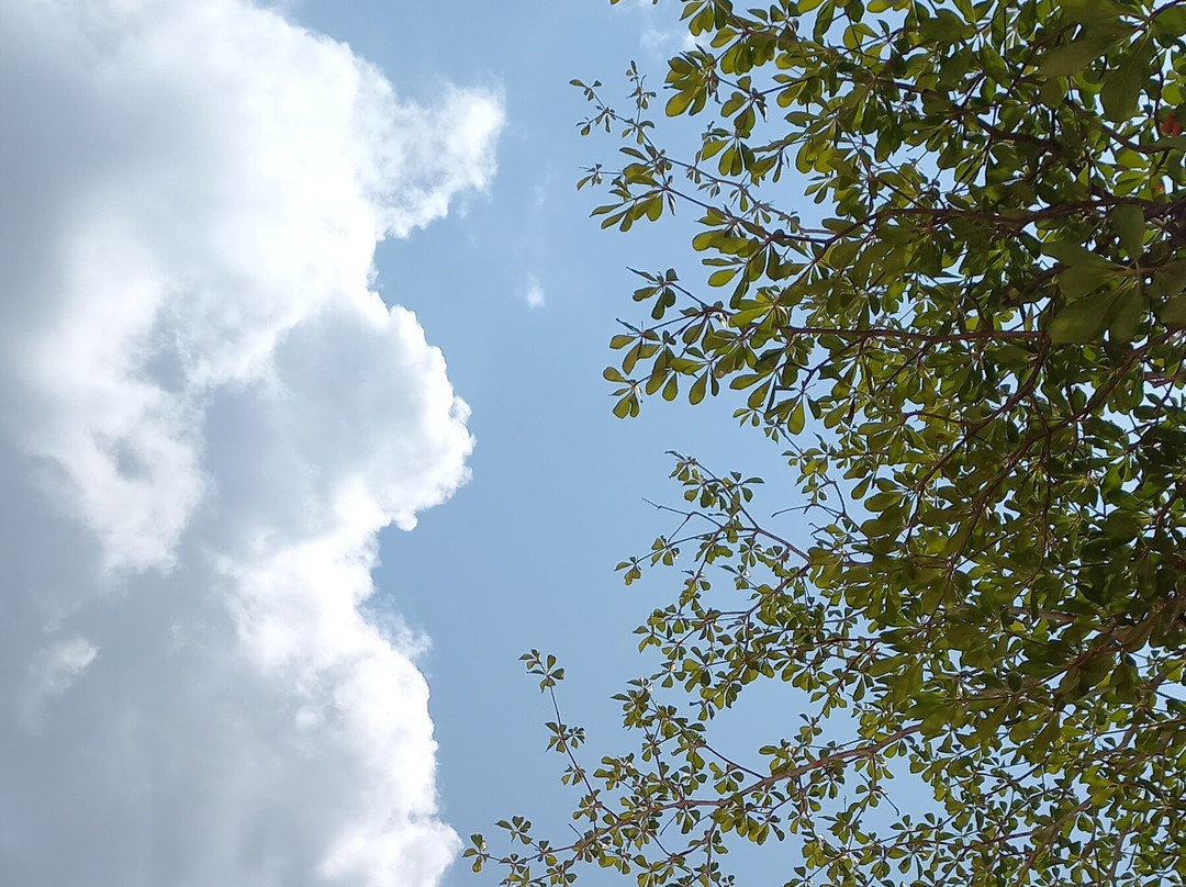 Ekilibre Amazonia-Alter do Chao必去景点