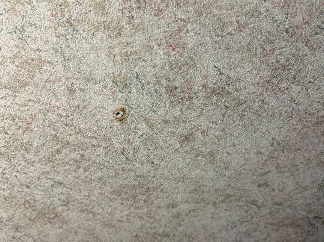 Best Western Plus Portsmouth Hotel And Suites主图