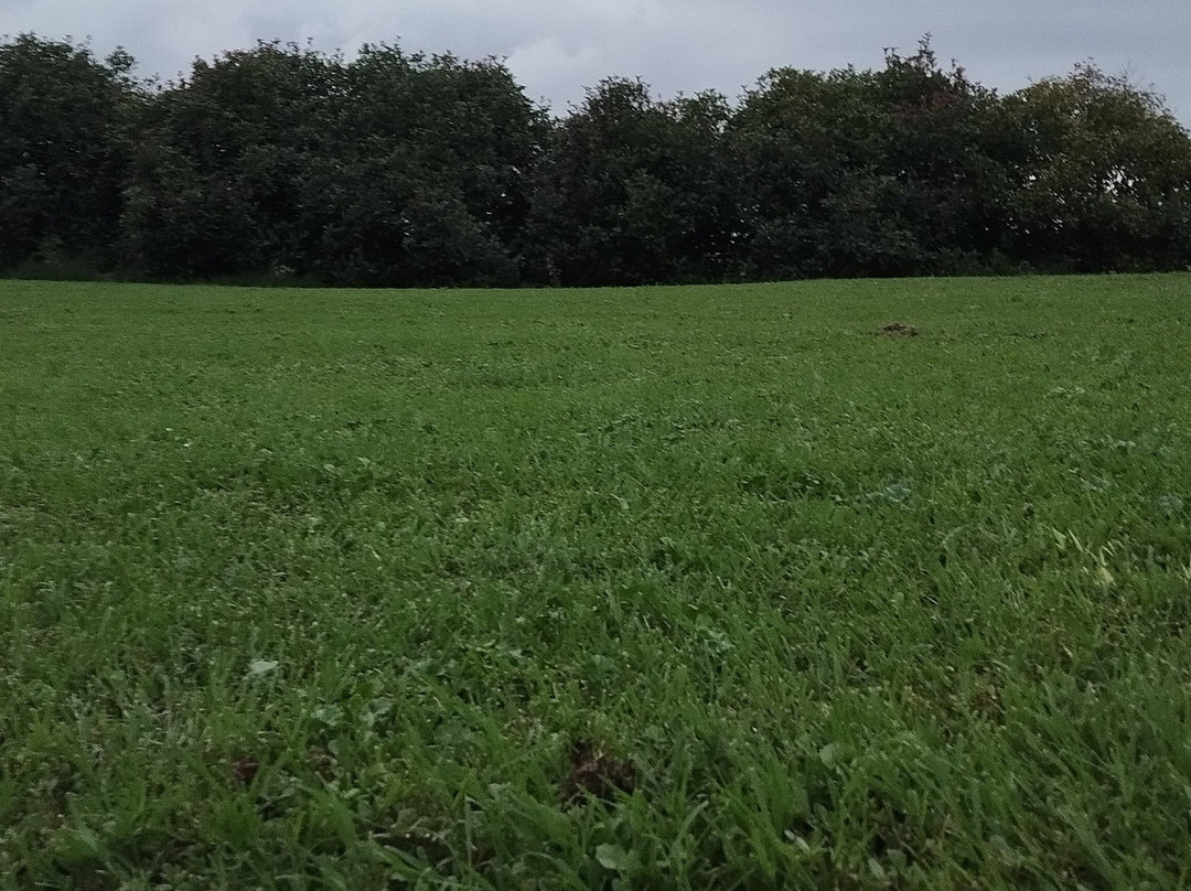 Agriturismo Castro主图