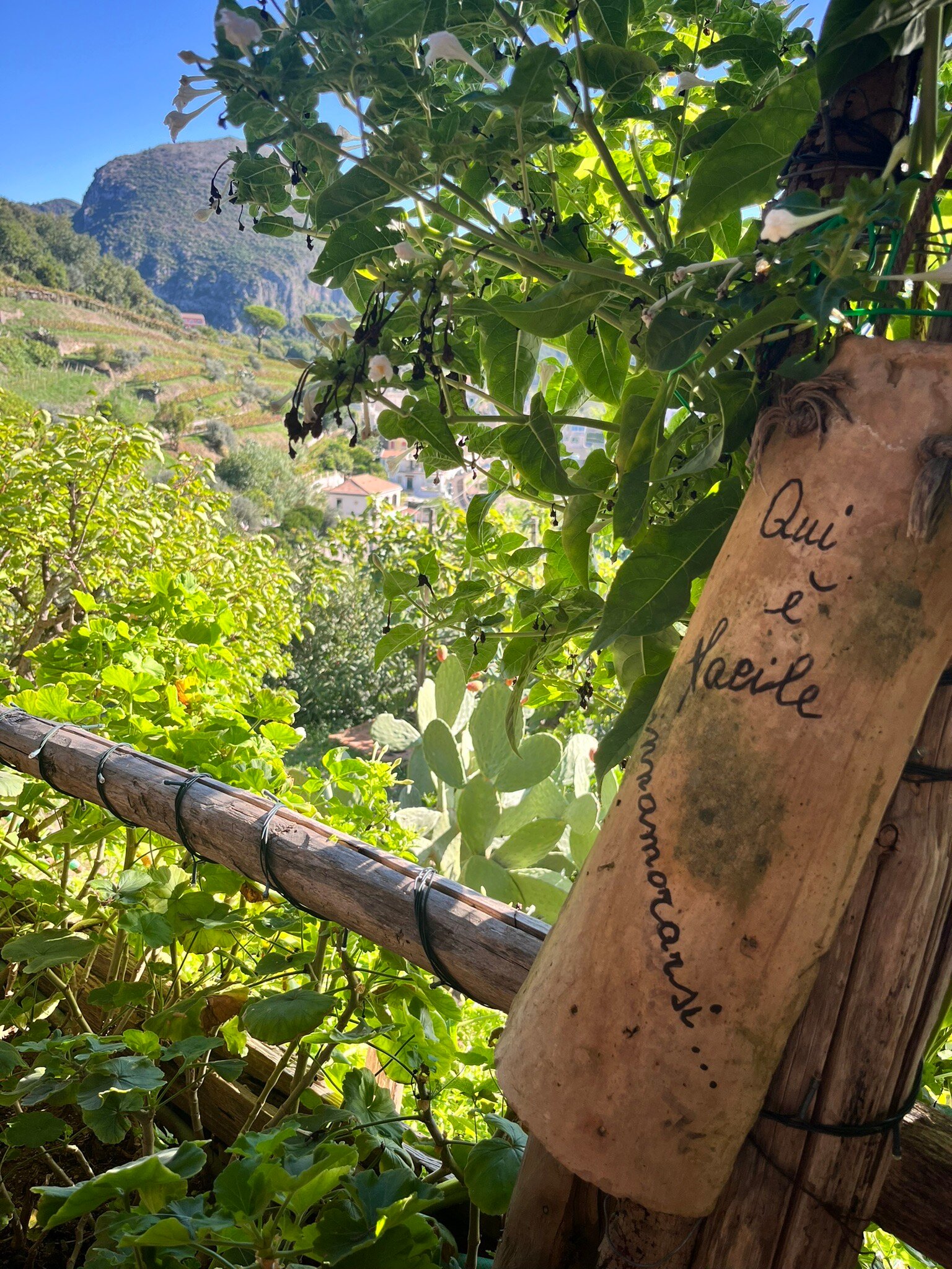 Il Melograno in Costa d'Amalfi - romantic experience-官方