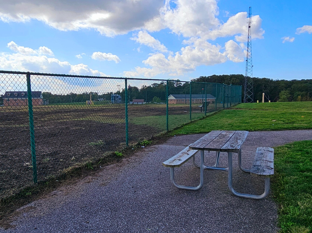 Abingdon Road Dog Park景点图片