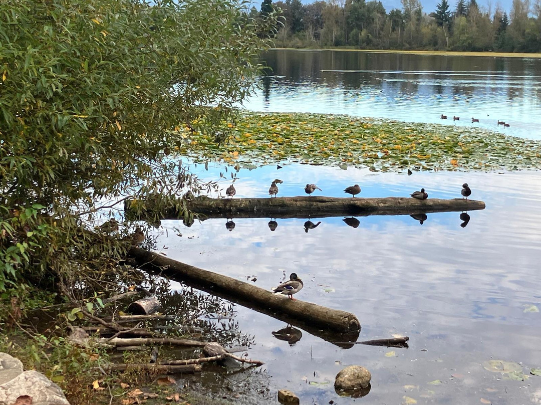 Mill Lake景点图片