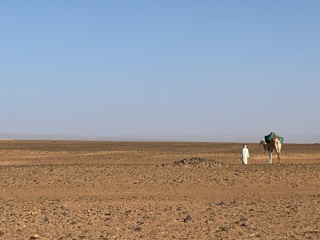 Salama Ayurveda主图