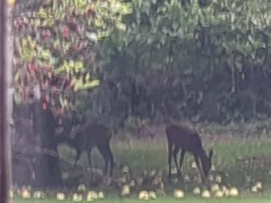 Powis House Estate主图