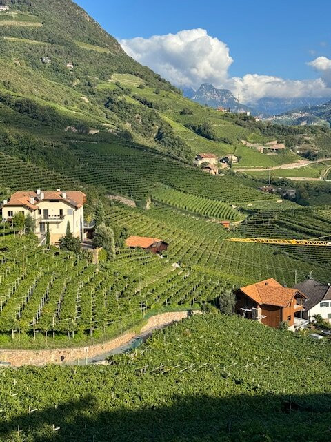 Weingut Plonerhof-博尔扎诺必去景点