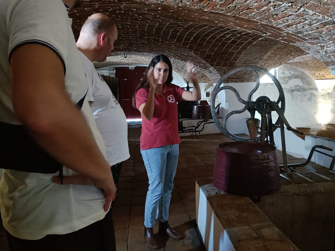 Adega Jose de Sousa-Reguengos de Monsaraz必去景点